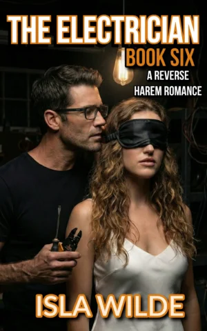 The Electrician book cover by Isla Wilde