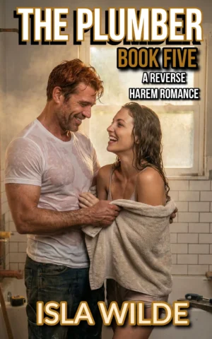 The Plumber book cover by Isla Wilde